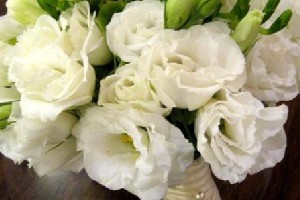 editWHW-10Awhite_eustoma_bridal_bouquet(160)