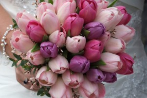 tulips pink,purple bouquet croped